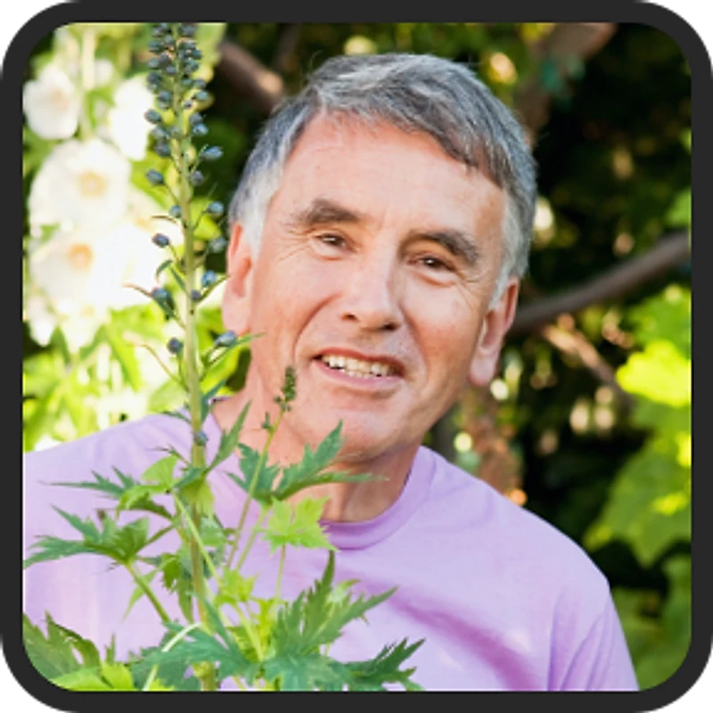 Donald M. — BrainSync review